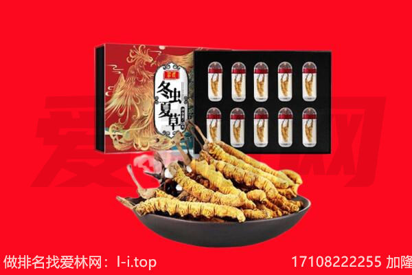 娄底娄星区回收虫草.jpg